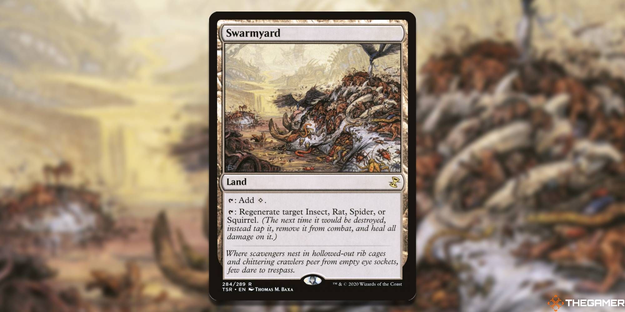 Swarmyard by Thomas M. Baxa