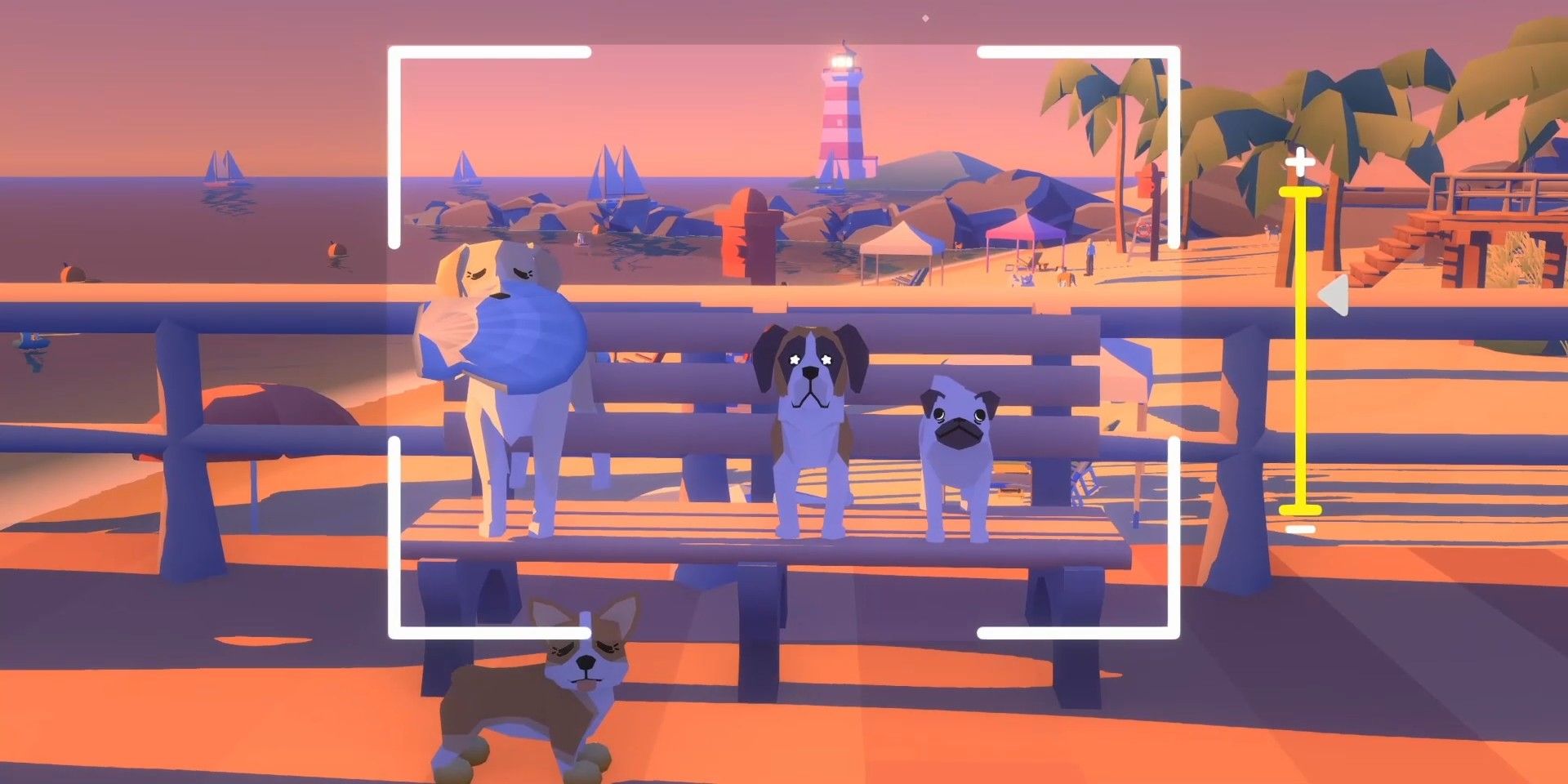 Taking Pics of Dogs in Pupperazzi