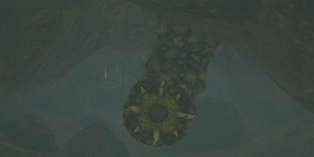 Tears of the Kingdom Rock Like in a cave