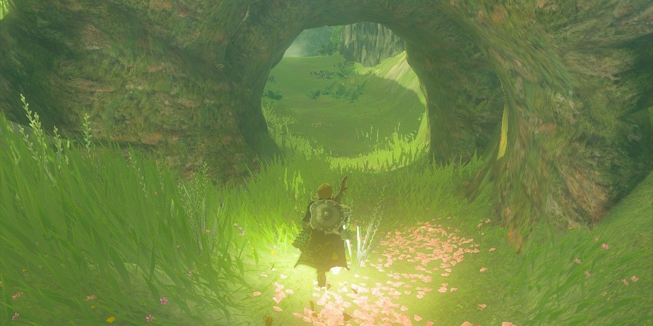 Link running under the rounded roots of a large tree with pink petals on the ground