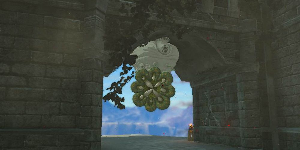 Tears of the Kingdom Like Like outside of Hyrule Castle