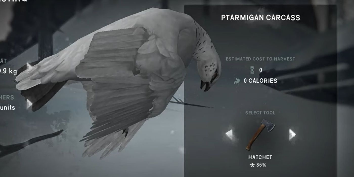 The Long Dark Ptarmigan Carcass Harvest