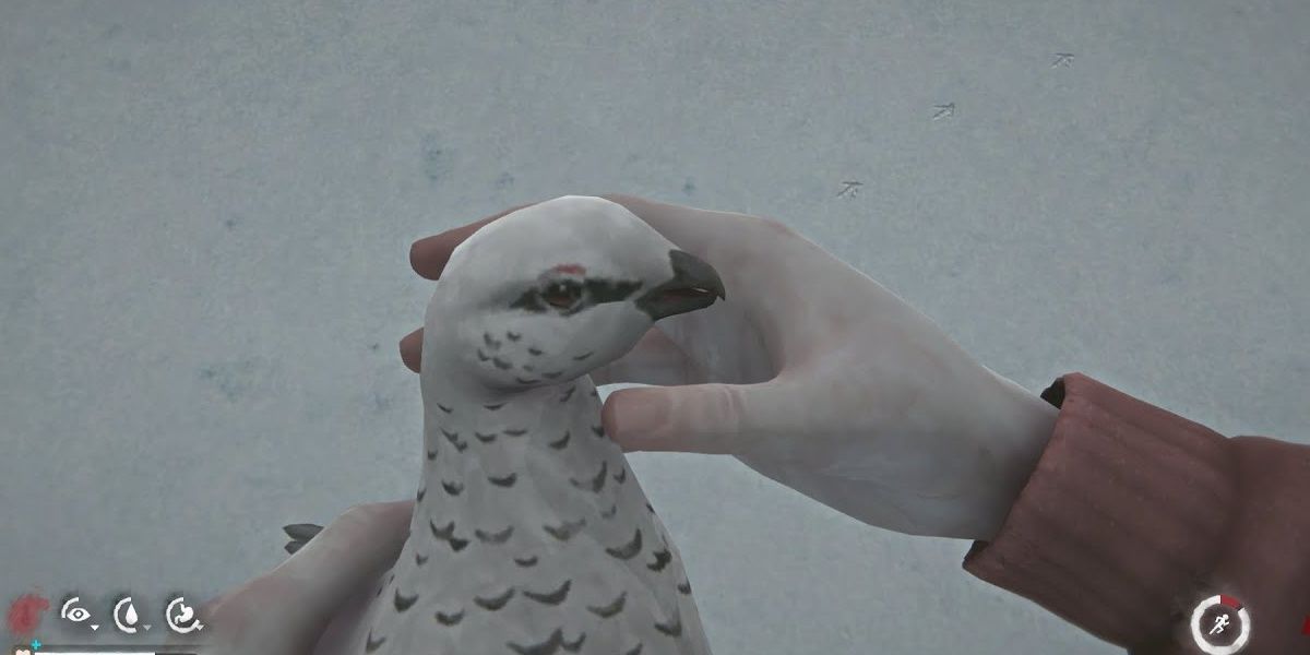 The Long Dark Ptarmigan In Player's Hand