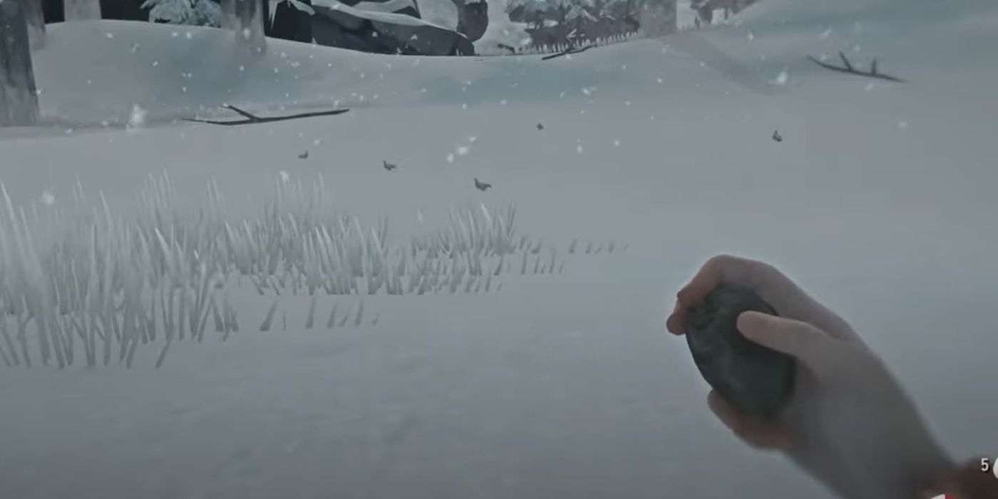 The Long Dark Player Holding A Stone And Stalking Ptarmigan Flock