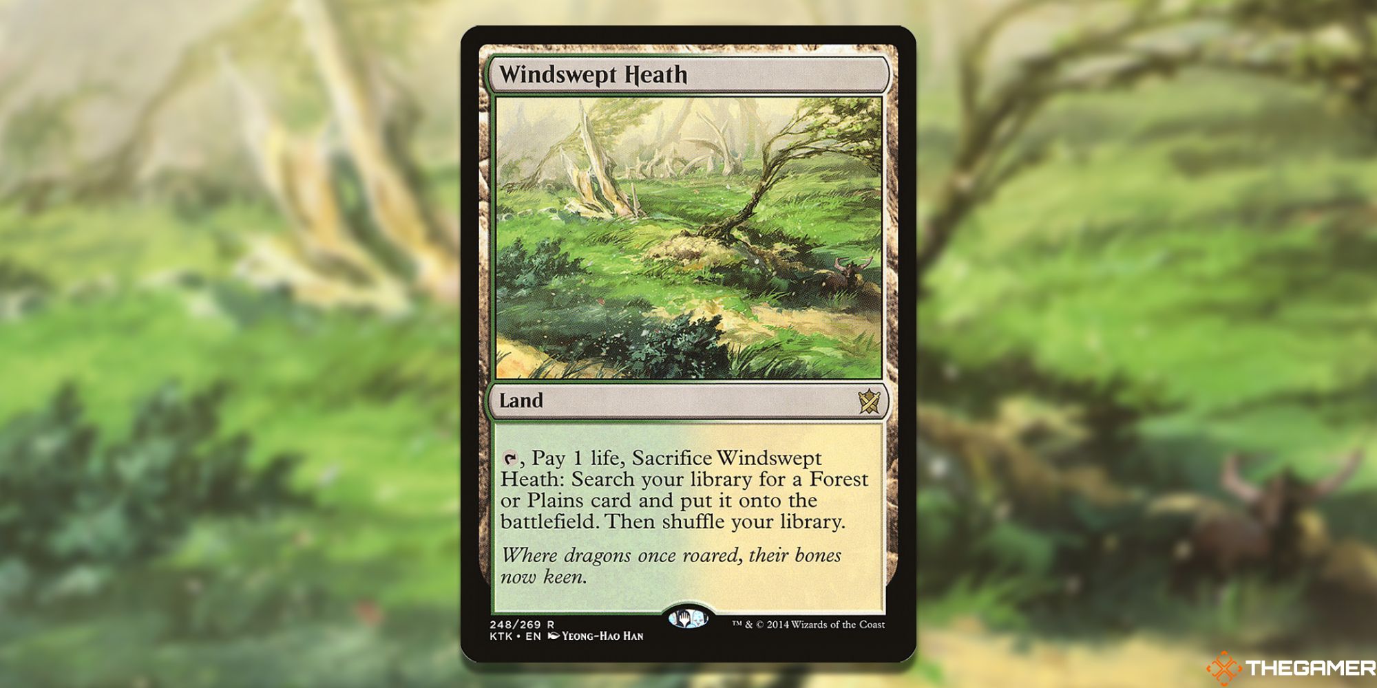 Image of the Windswept Heath card in Magic: The Gathering, with art by Yeong-Hao Han