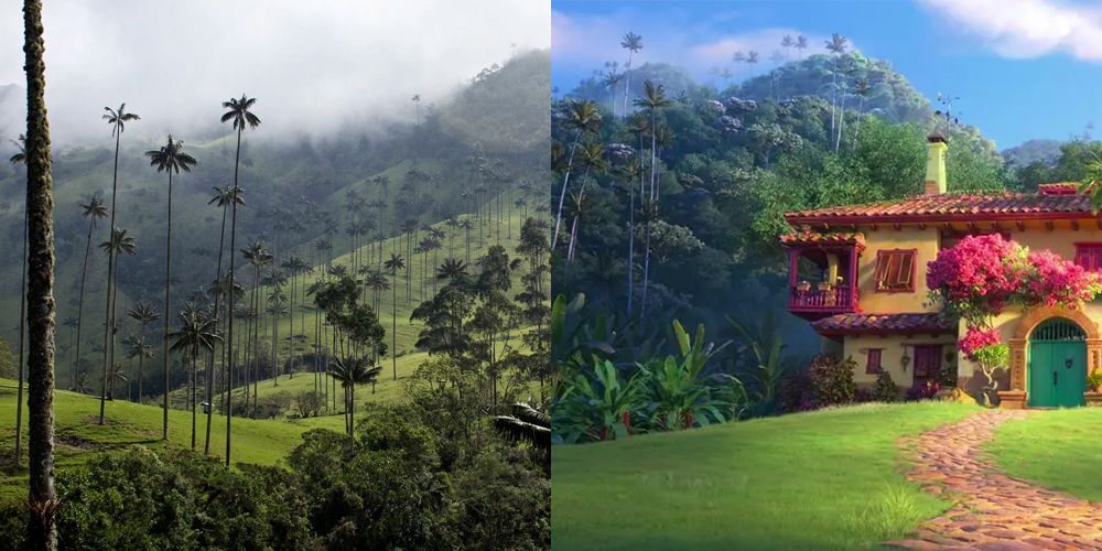 Valle De Cocora valley with palm trees Encanto