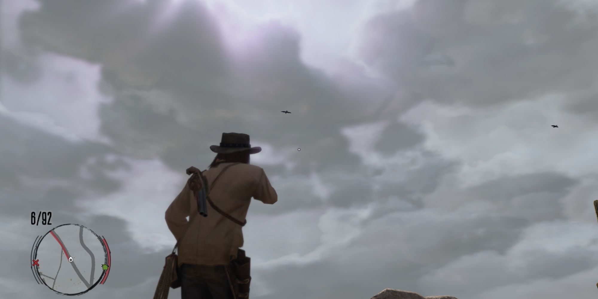 About to shoot some birds in Red Dead Redemption