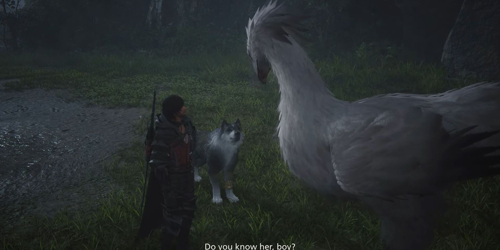 Clive asking Torgal if he knows the white chocobo