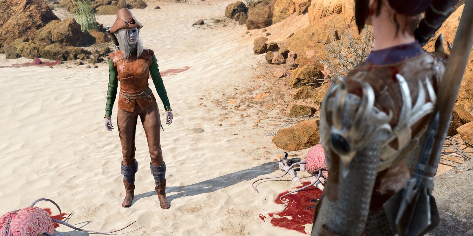 baldurs gate 3 character hat