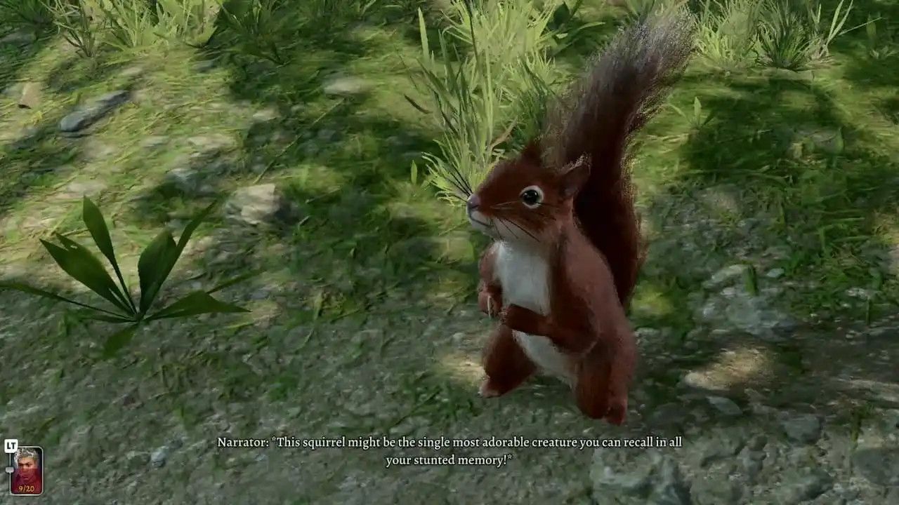 baldurs gate squirrel