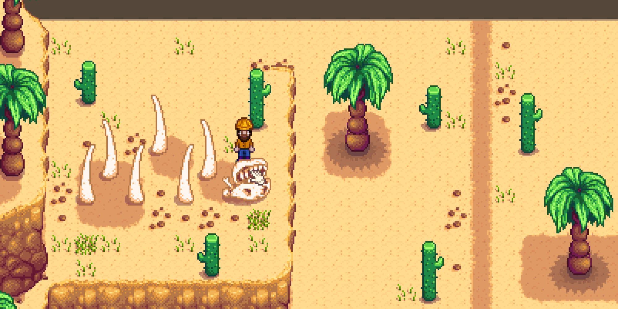 Player standing in the Desert in Stardew Valley