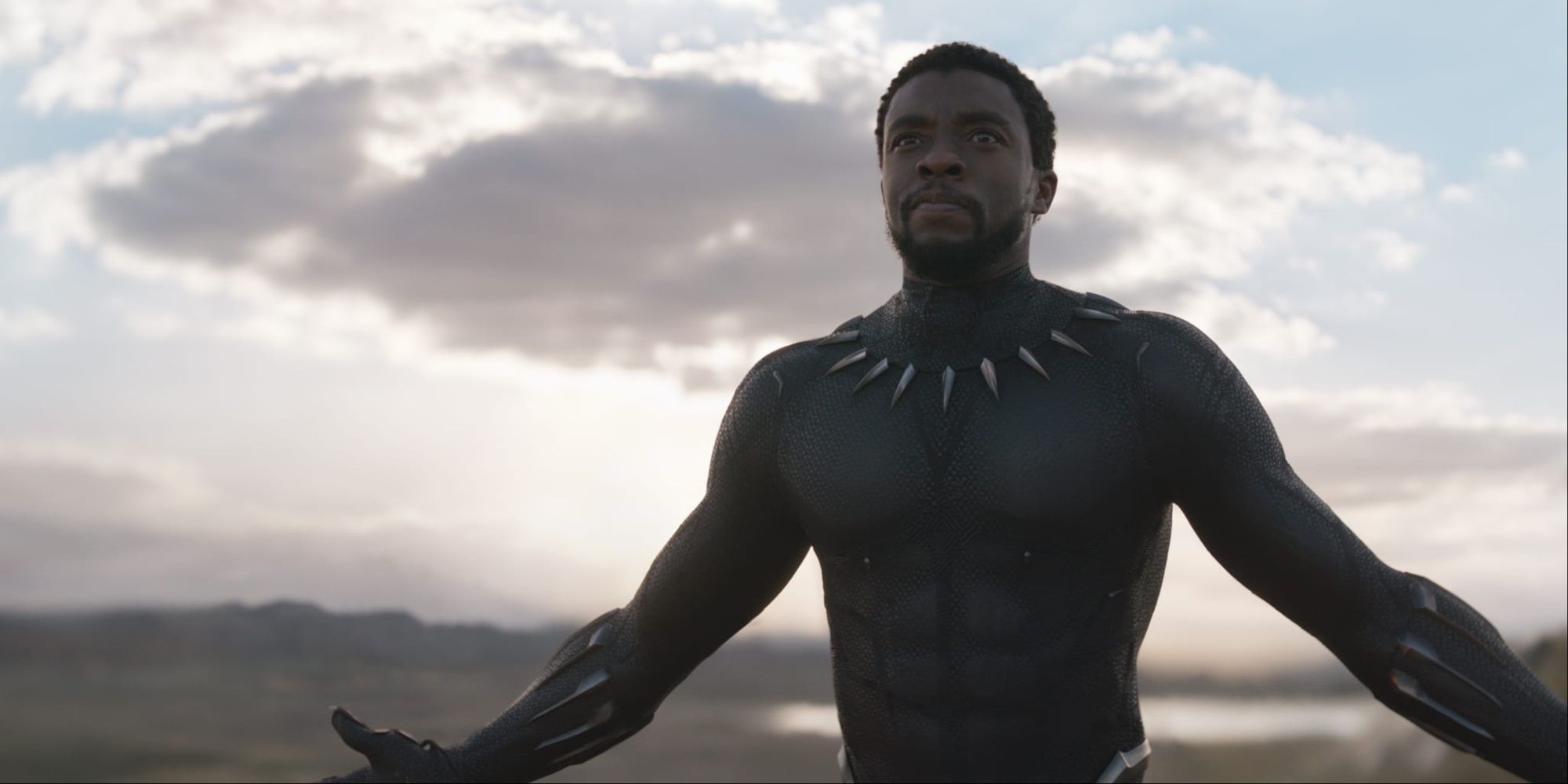 Black Panther, played by Chadwick Boseman