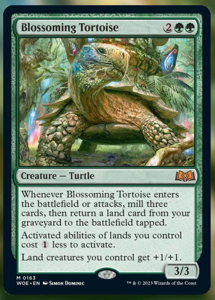 Blossoming Tortise