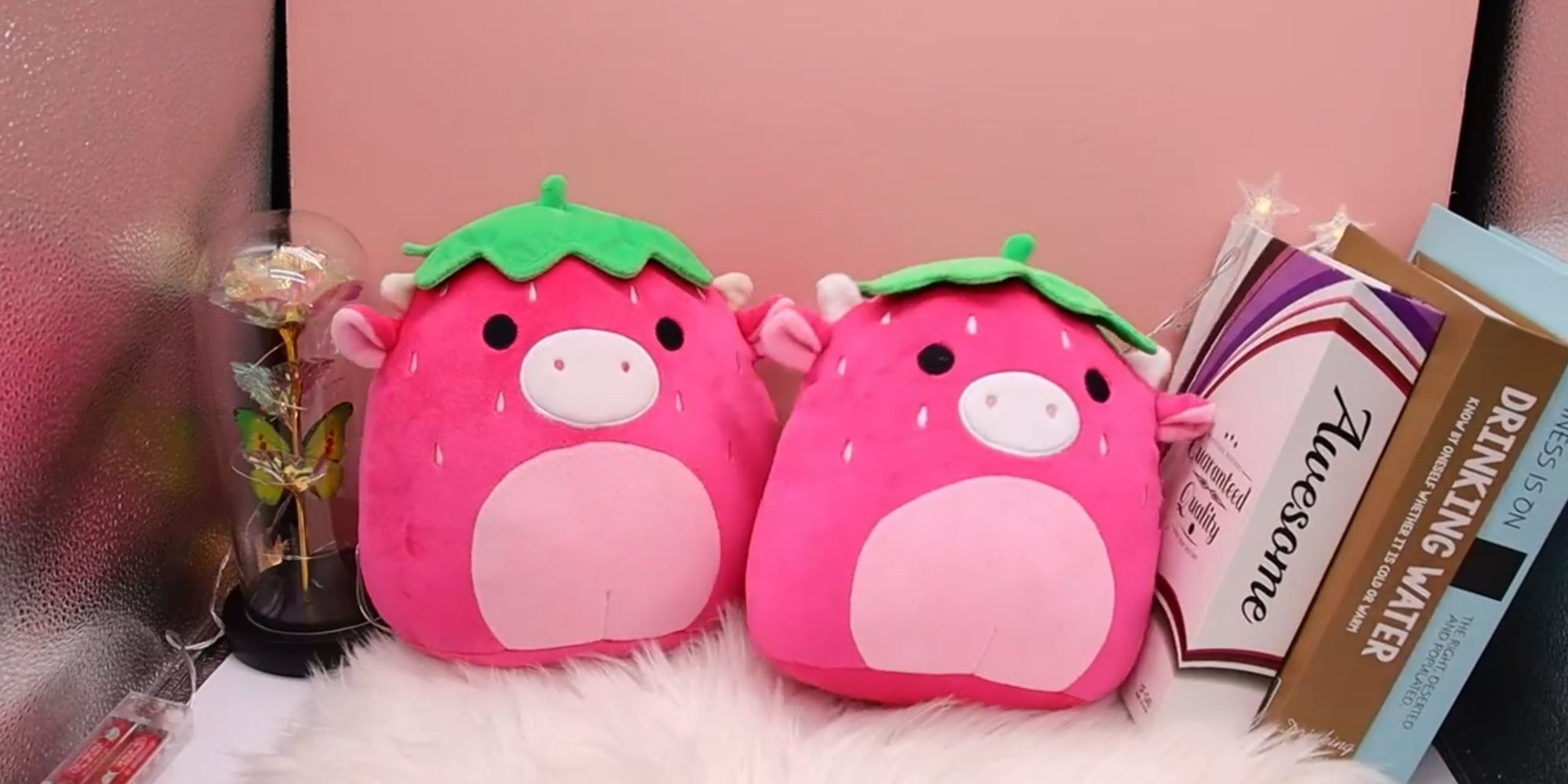 Squishmallow on shelves