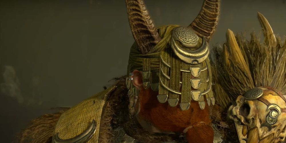 Druid in another set Diablo 4