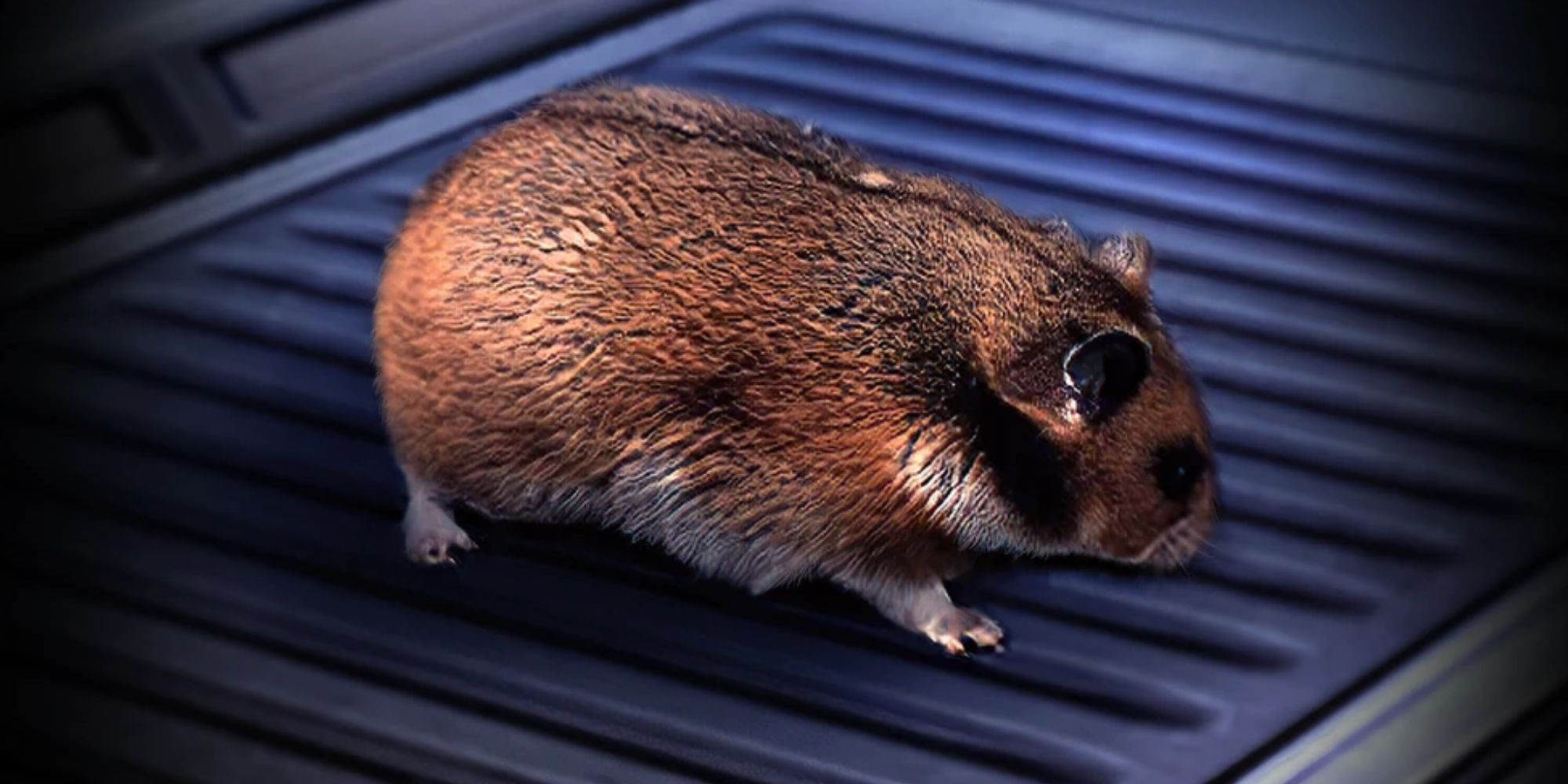 mass-effect-2-hamster
