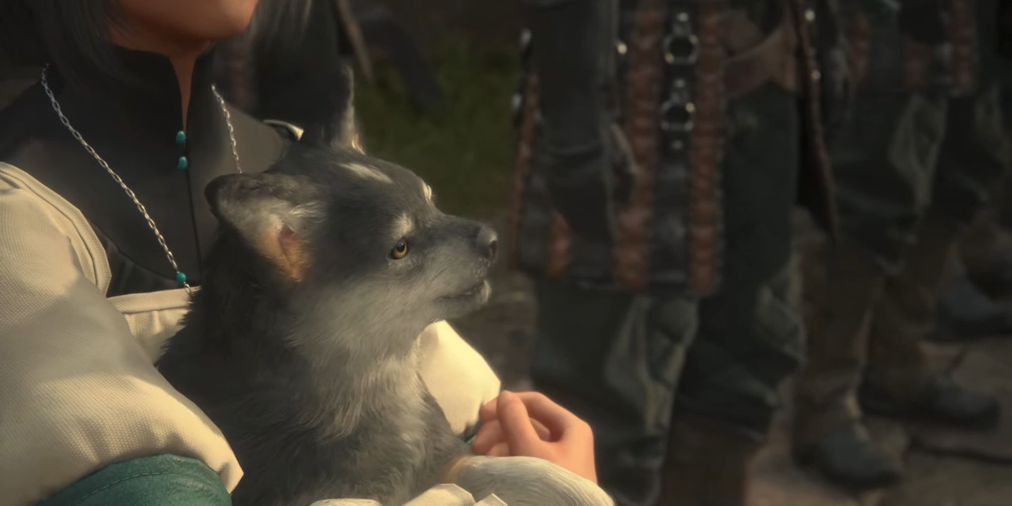 Puppy Torgal in Jill's arms