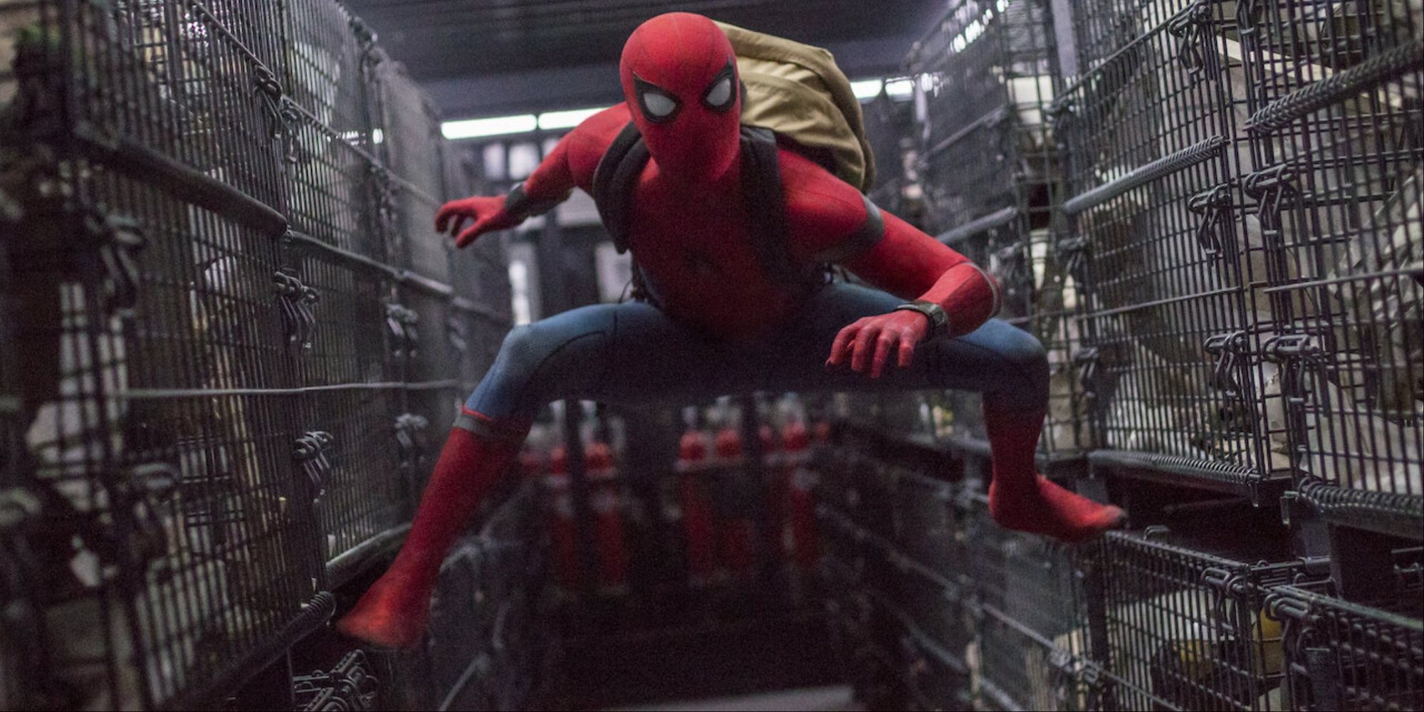 Spider-Man (Tom Holland) in Spider-Man: Homecoming