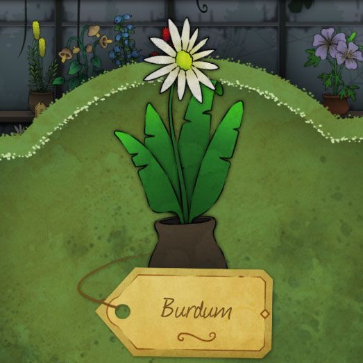 A white flower with a glowing yellow pistil. Very regular looking, though its leaves are very thick. It is called Burdum in Strange Horticulture.