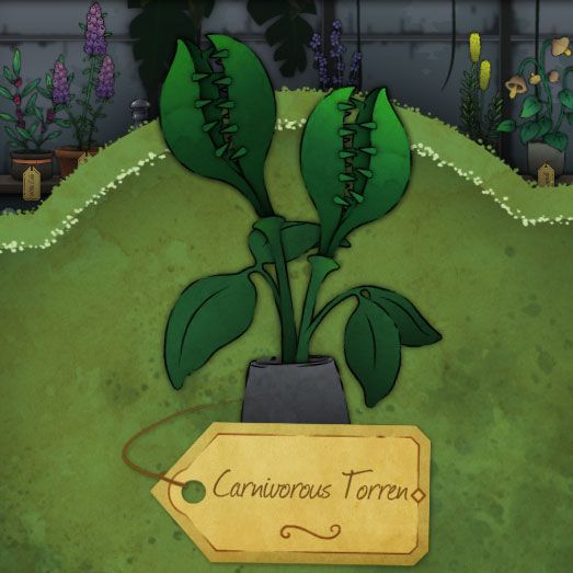A green plant with the thorns growing along the upper leaves' edges called-Carnivorous-Torren in Strange Horticulture