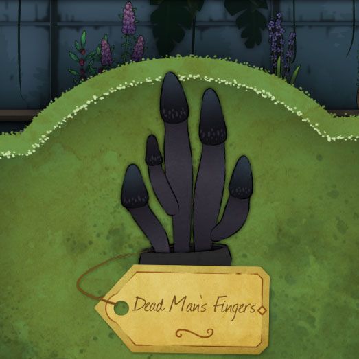 A long, black mushroom. Many cluster together into a formation that resembles an otherworldly hand. It is called Dead Man's Fingers in Strange Horticulture.