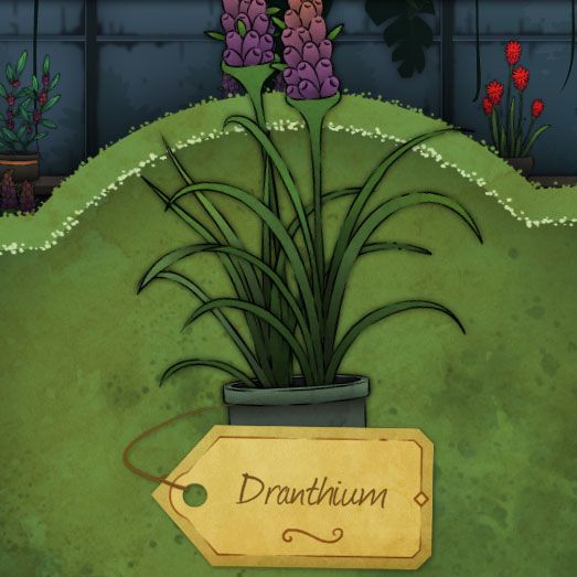 A purple clustered flower and remarkably sharp leaves that grow up and outward, resembling wild grass called Dranthium in Strange Horticulture.