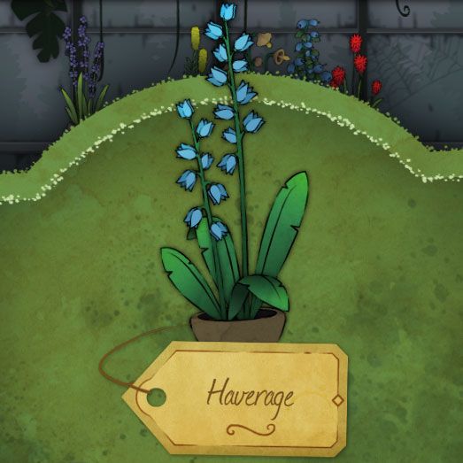 A tiny, bright blue flower that grows in numbers along a long stalk called Haverage in Strange Horticulture.