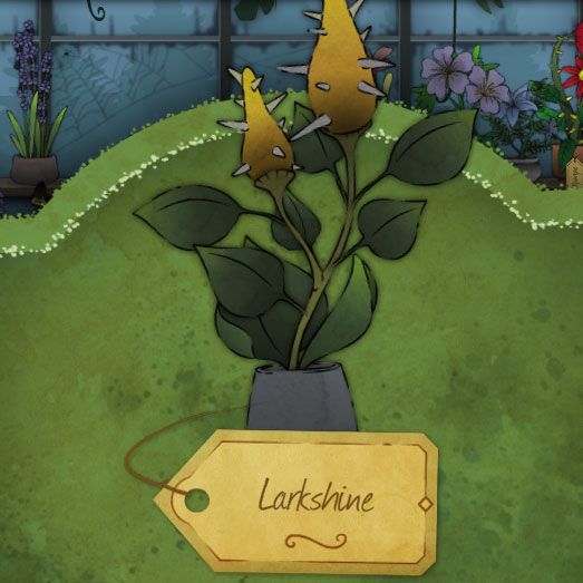 A yellow, thick seed that resembles a fruit more than it does any flower. It has white thorns all over.It is called Larkshine in Strange Horticulture
