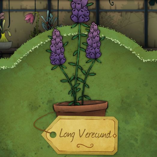 A long cluster of rounded petals mounting upward. Shares a slight resemblance with a coral, and it is purple, with the tip fading to a slight pink. The leaves grow in pairs along the stalk. It is called Long Verecund in Strange-Horticulture.