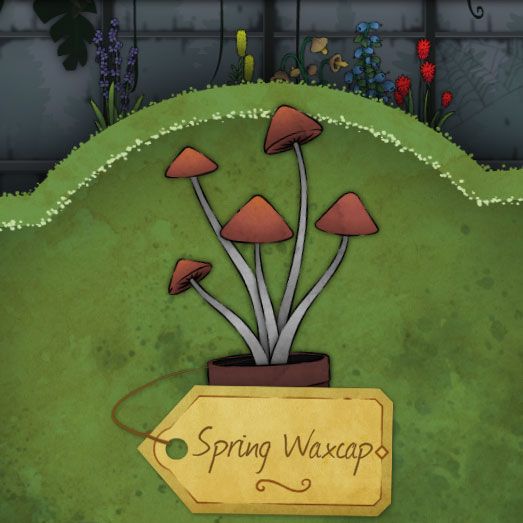 A small mushroom with a cone-shaped cap called Spring-Waxcap in Strange Horticulture