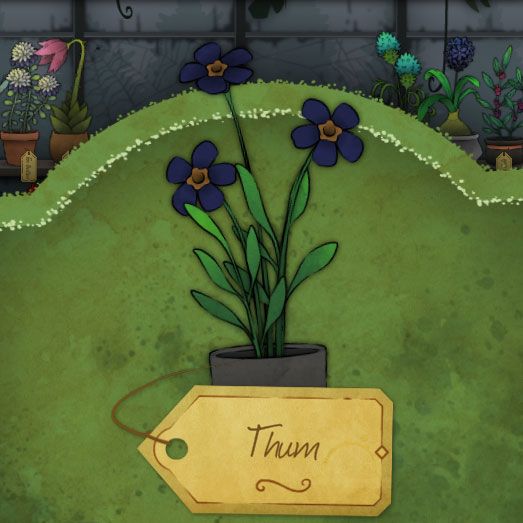 A dark blue flower with a honey-colored pistil that fades to a very dark brown. The pistil looks like a smaller flower itself. It is called Thum in Strange Horticulture.