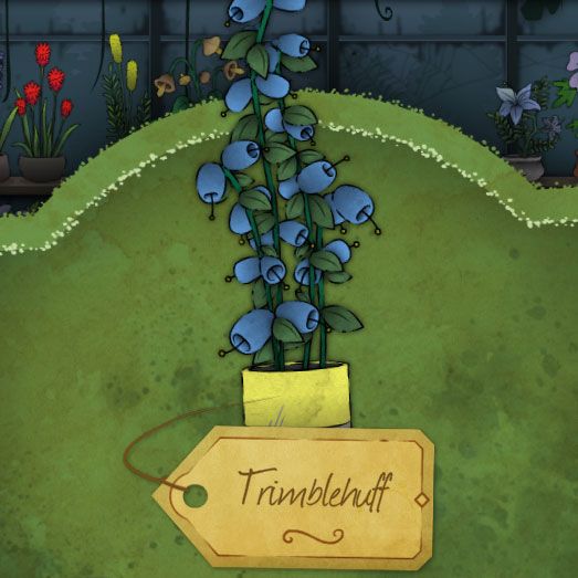 A plant with a long stalk along which tiny, rounded blue flowers grow in pairs. Their stamen is thin as a needle. It is called Trimblehuff in Strange Horticulture.