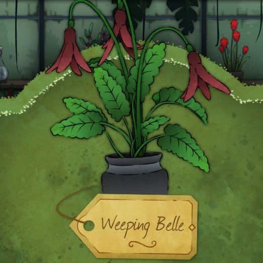 A droopy, red flower. Its shade is muted. The leaves are frilled in a way that reminds you of a cloud from a children's drawing. It is called Weeping-Belle in Strange Horticulture