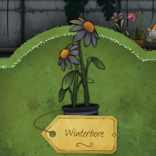 A pale, gray-blue flower with a big yellow pistil called Winterbore in Strange-Horticulture
