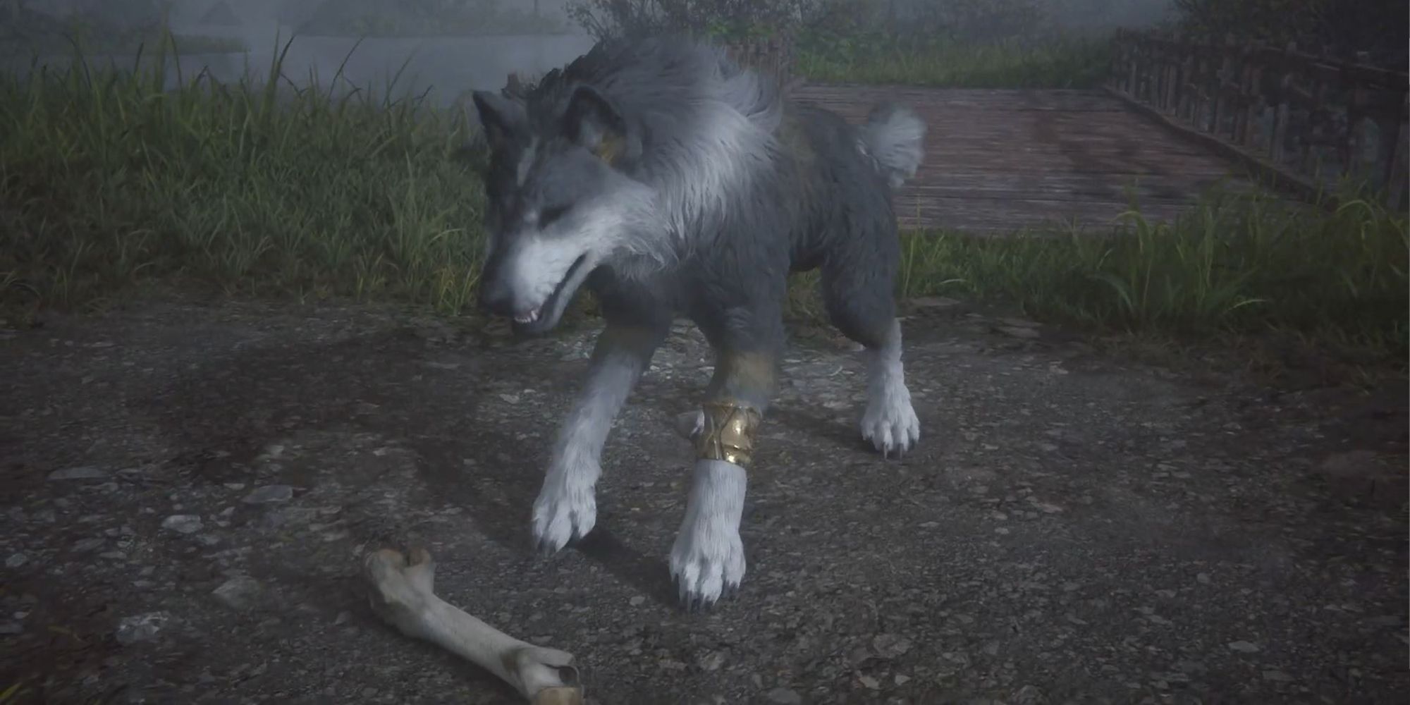 Torgal with bone of an elder antelope