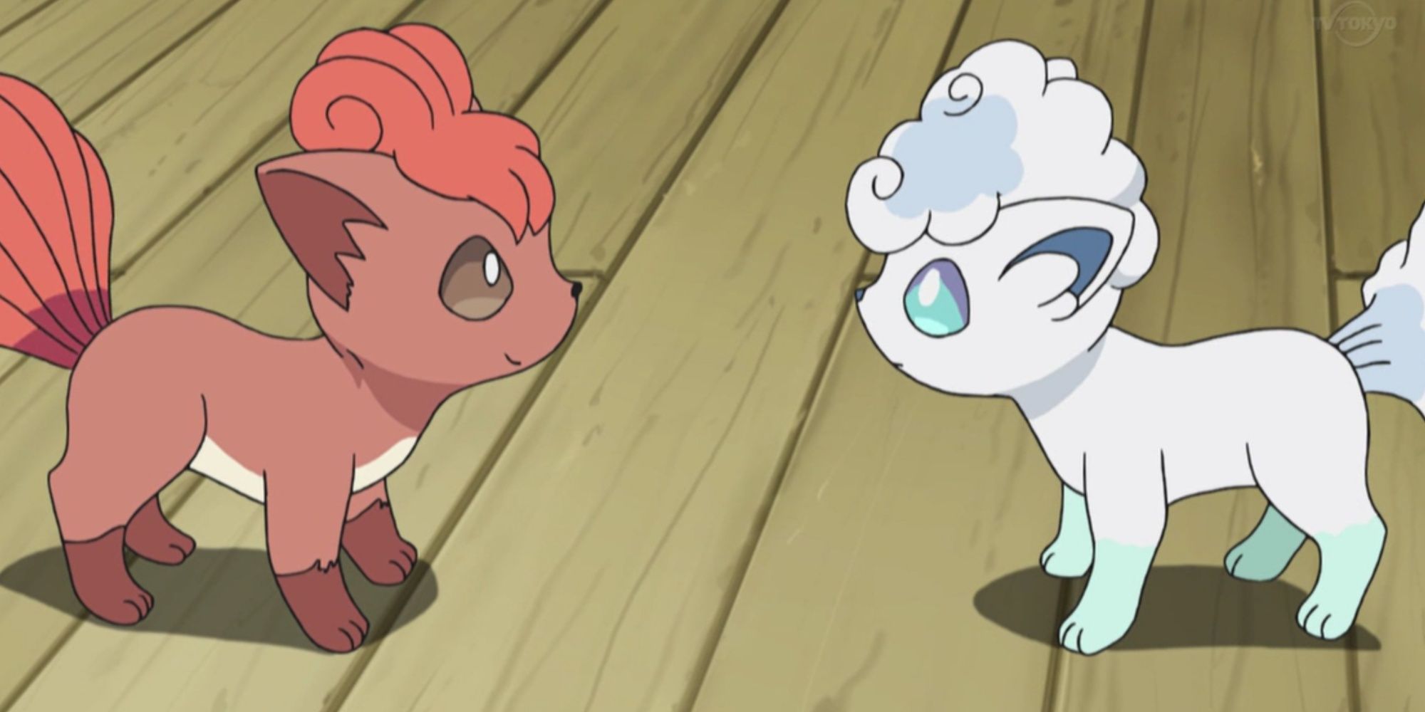 Vulpix and Alolan Vulpix in the Pokemon anime
