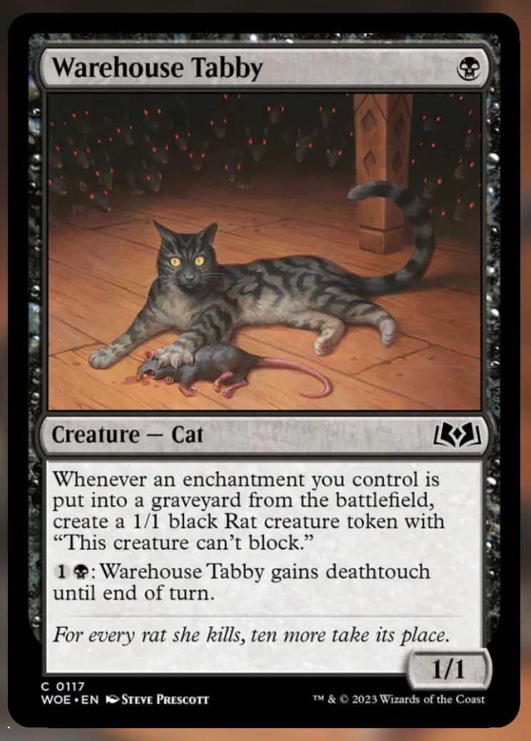 Warehouse Tabby