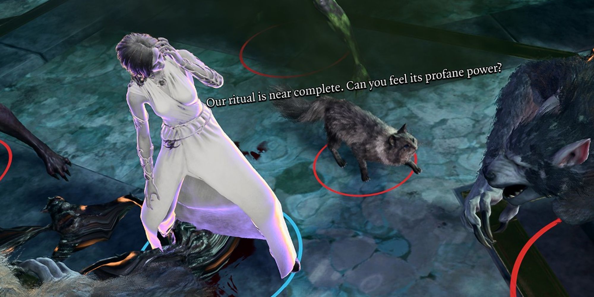 Baldurs Gate 3 Cazador transformed into a cat