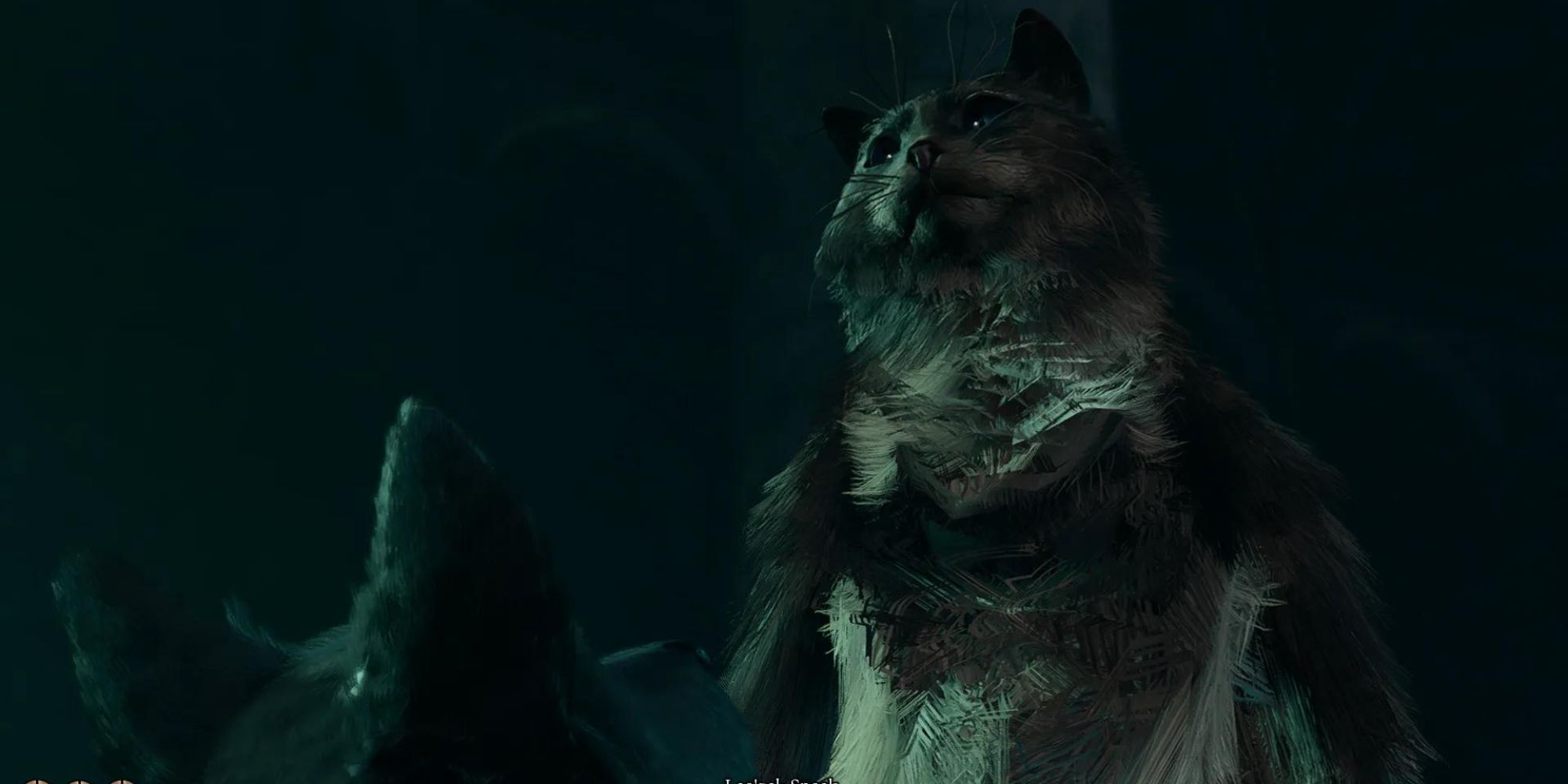 A black dog speaking to a large, black and brown cat.