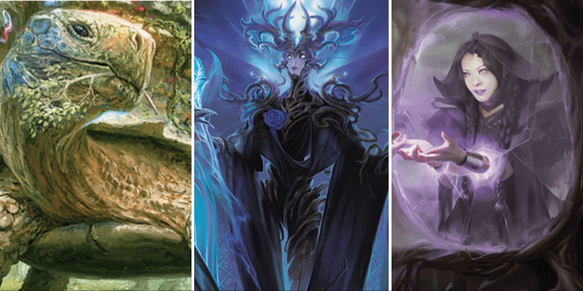 Collage of Blossoming Tortoise, Talion The Kindly Lord, and Beseech The Mirror in MTG.