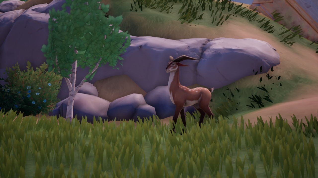 Close-up shot of a Common Sernuk, a light brown deer with small horns, walking near a tree and rocks in Kilima Valley in the morning in Palia.