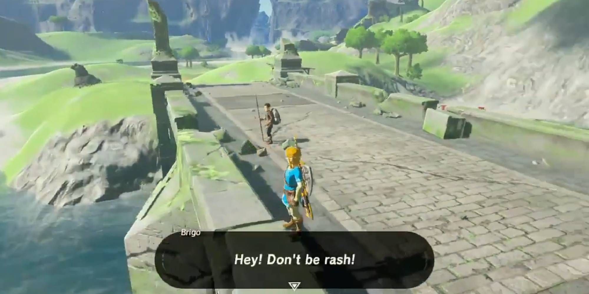 brigo breath of the wild