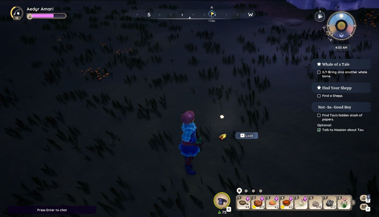 Player character standing next to a lootable Spitfire Cicada in the morning in Bahari Bay near Hodari's house in Palia.