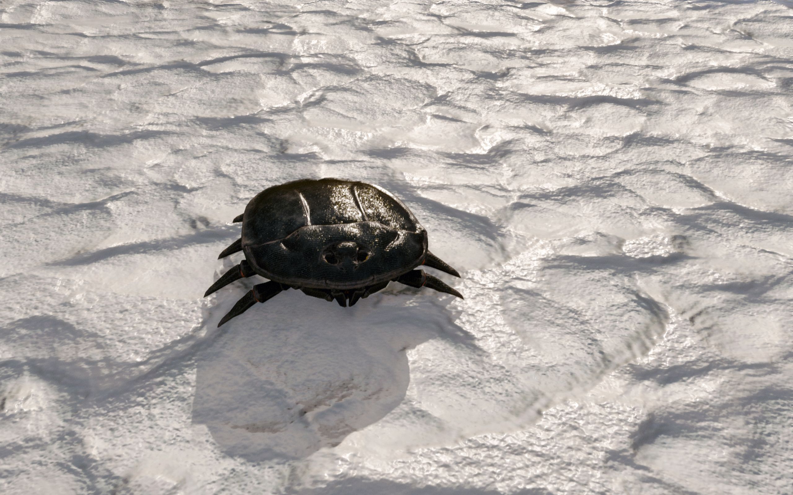 Beetle Grazer scurrying on frozen ground