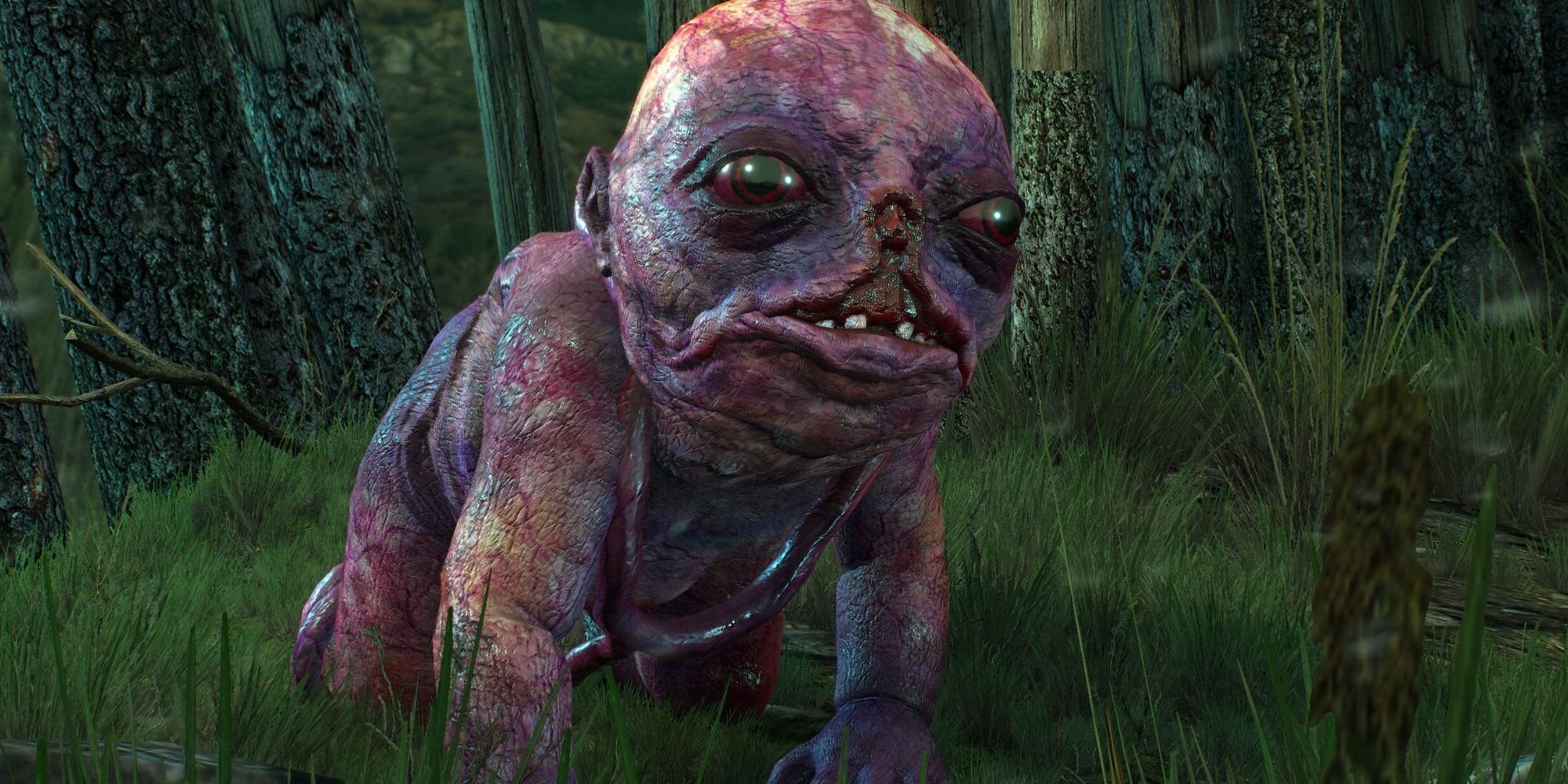 The botchling in The Witsher 3 wild hunt