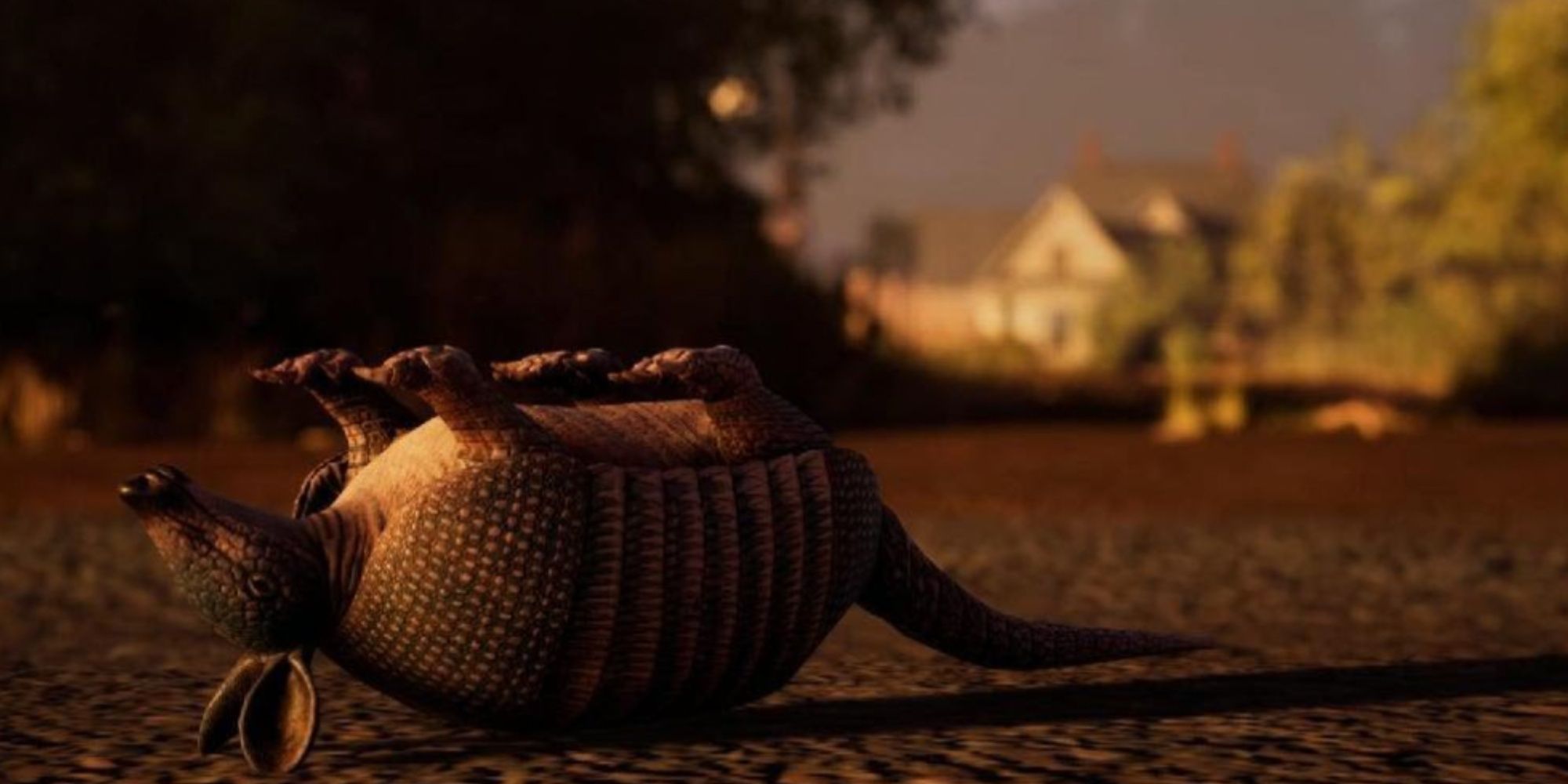 the texas chain saw massacre armadillo road kill outside of family house