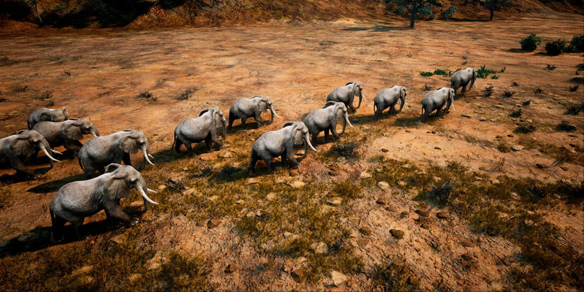 A heard of elephants traveling in Animalia Survival video game