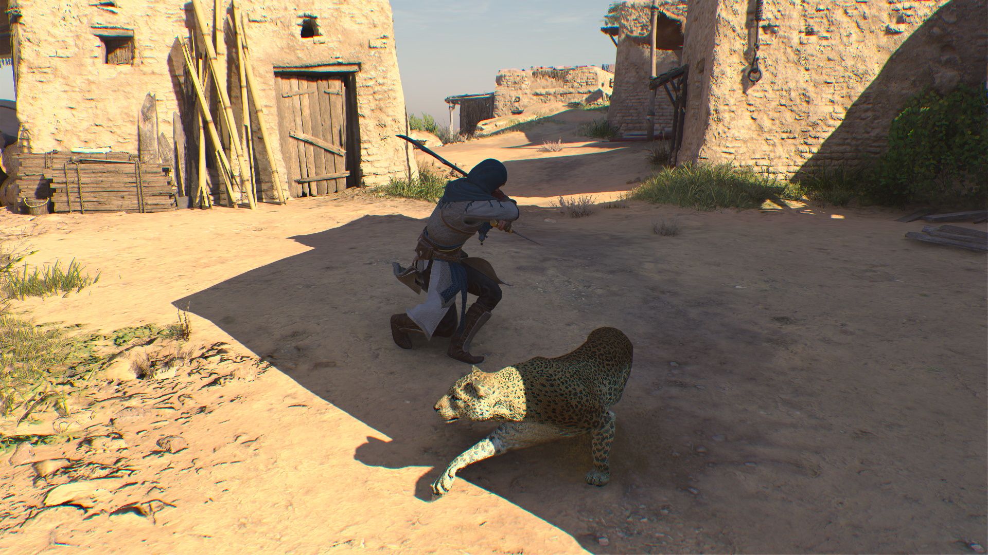 Assassin's Creed Mirage, The Curse Of The SI' La', fighting the leopard