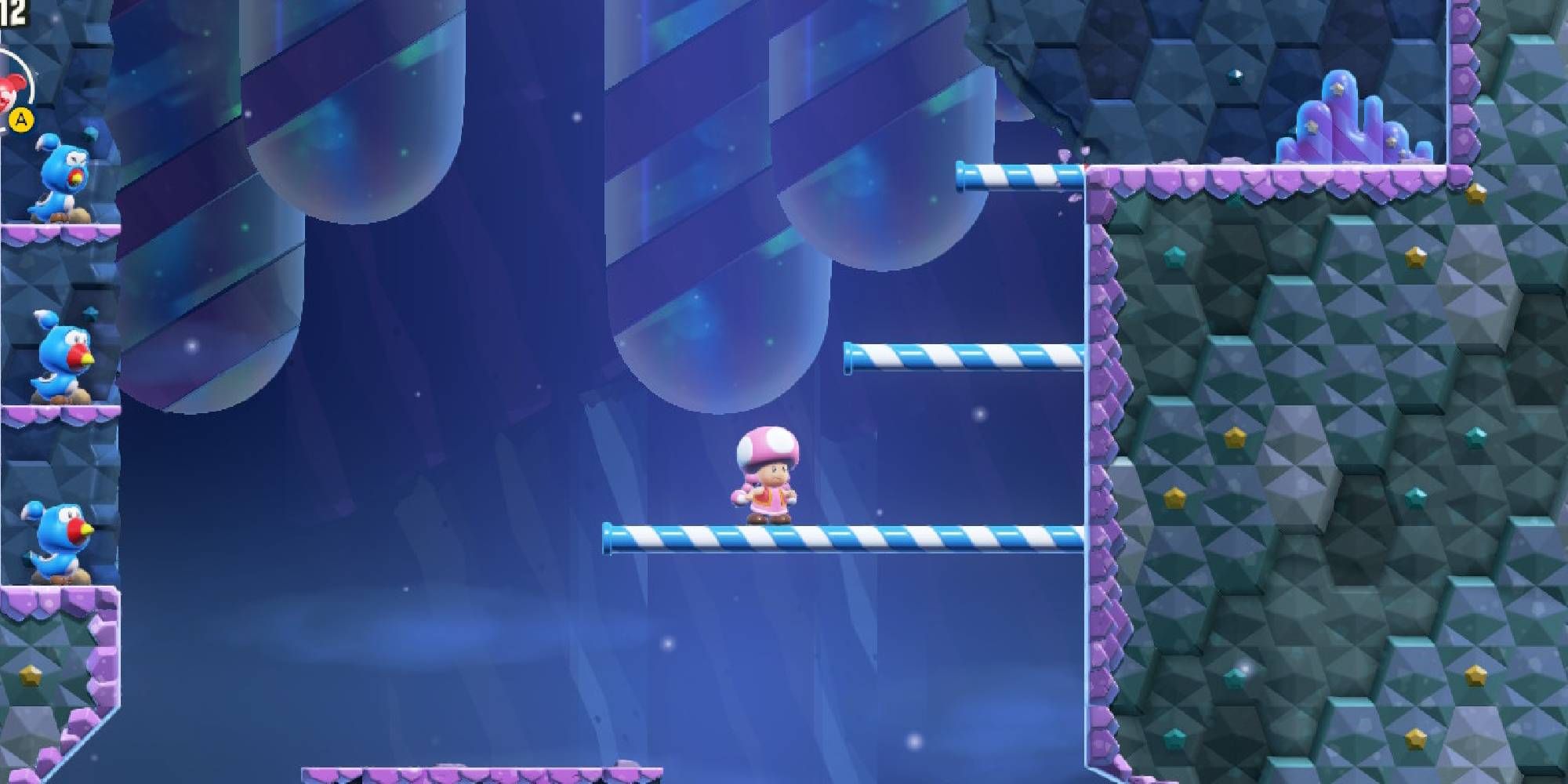 super mario wonder toadette platforming on blewbird beaks
