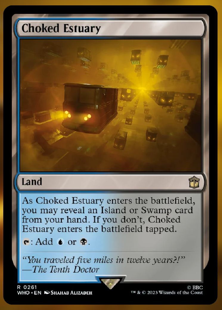 Choked Estuary